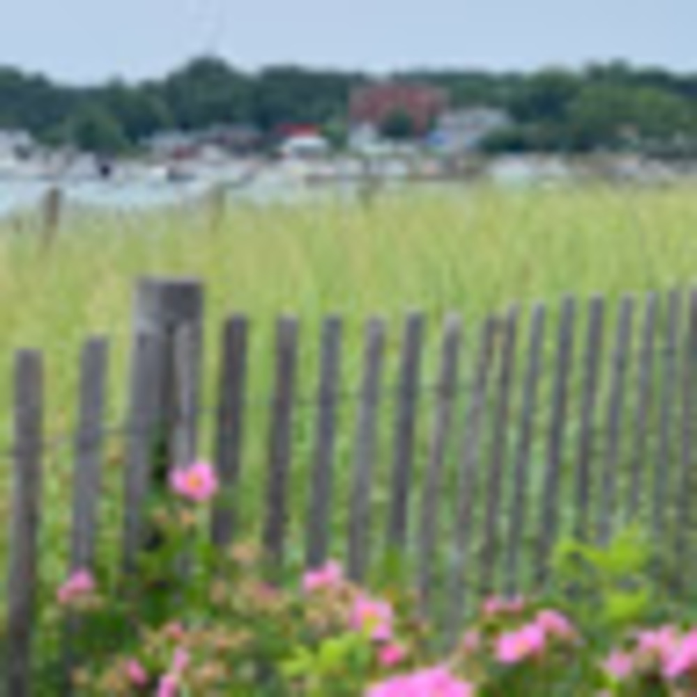 Meet your Posher, Karen